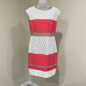 NWOT Sandra Darren Lace Striped Dress.  Size 6 S small